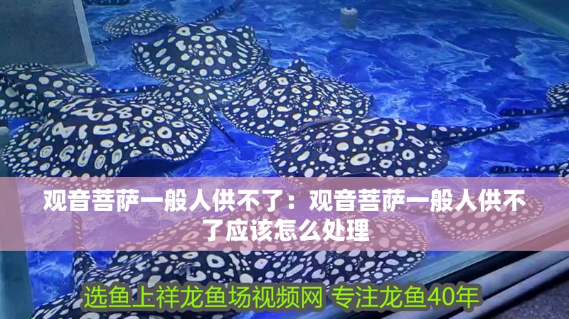 觀音菩薩一般人供不了：觀音菩薩一般人供不了應該怎么處理