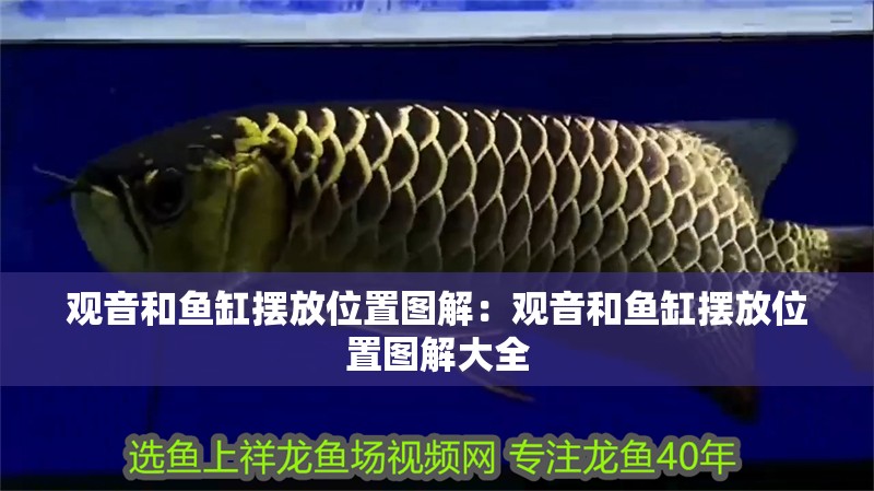 觀音和魚缸擺放位置圖解：觀音和魚缸擺放位置圖解大全