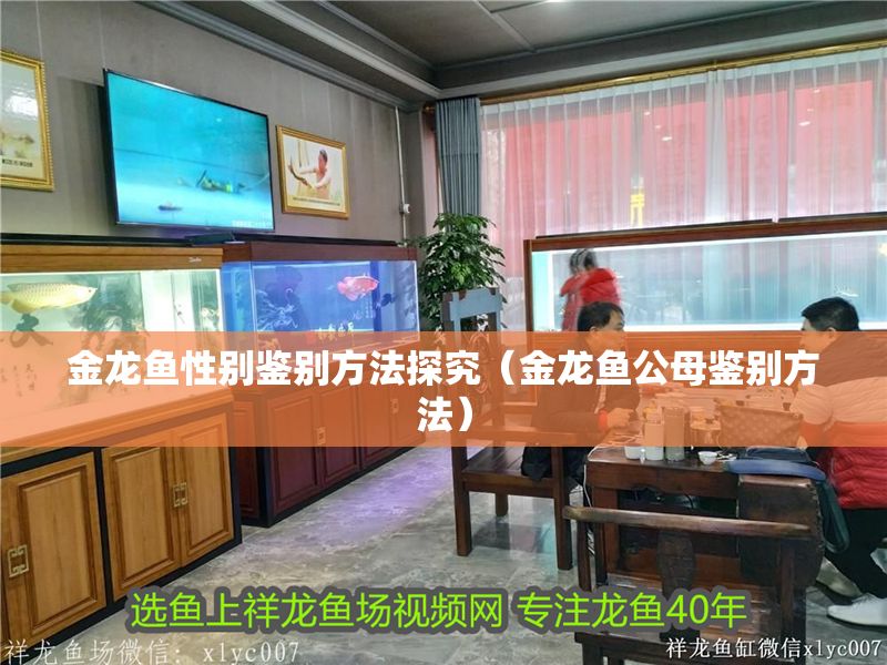 金龍魚性別鑒別方法探究（金龍魚公母鑒別方法）