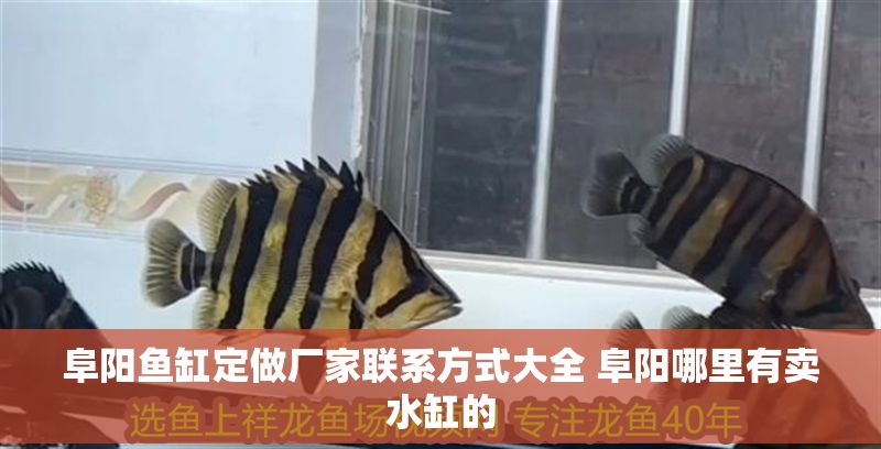 阜陽魚缸定做廠家聯系方式大全 阜陽哪里有賣水缸的