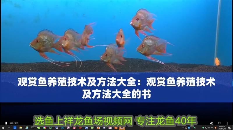 觀賞魚養(yǎng)殖技術及方法大全：觀賞魚養(yǎng)殖技術及方法大全的書