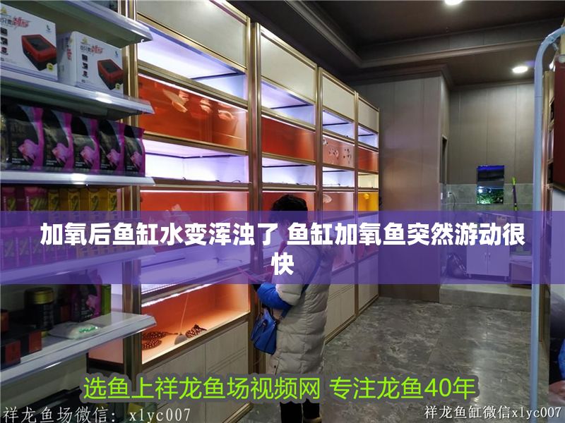加氧后魚缸水變渾濁了 魚缸加氧魚突然游動很快