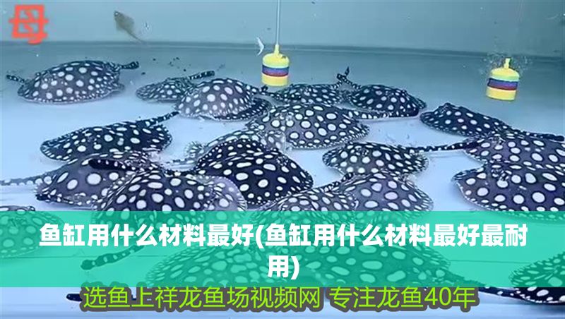 魚缸用什么材料最好(魚缸用什么材料最好最耐用) 魚缸用什么材料最好(魚缸用什么材料最好最耐用) 龍魚百科 第1張