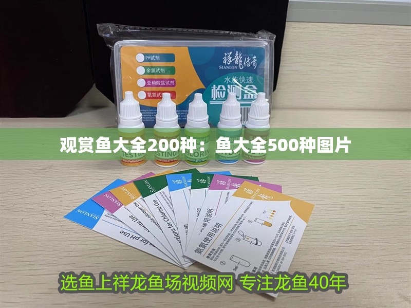 觀賞魚大全200種:魚大全500種圖片 龍魚百科 第2張 觀賞魚大全200種:魚大全500種圖片 觀賞魚大全200種:魚大全500種圖片 龍魚百科 第2張