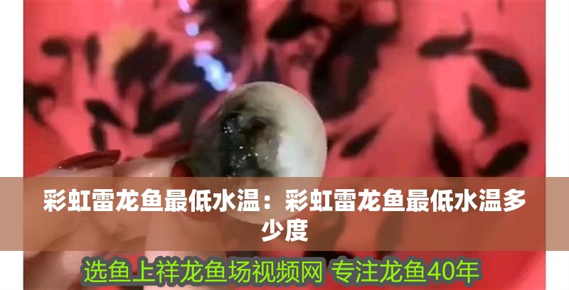 彩虹雷龍魚最低水溫：彩虹雷龍魚最低水溫多少度