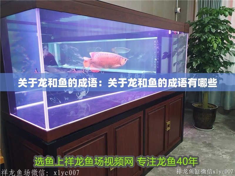 關于龍和魚的成語：關于龍和魚的成語有哪些