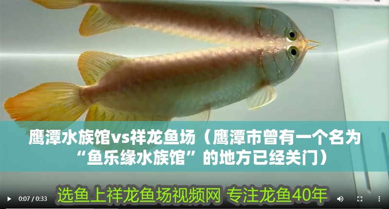 鷹潭水族館vs祥龍魚場（鷹潭市曾有一個名為“魚樂緣水族館”的地方已經關門）