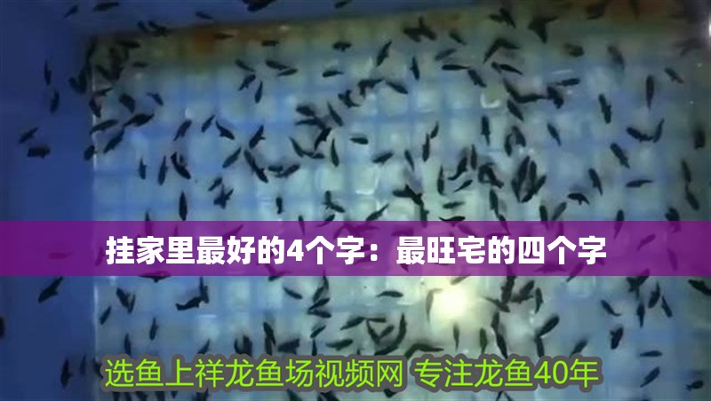 掛家里最好的4個字：最旺宅的四個字