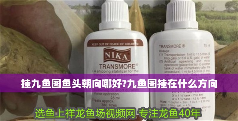 掛九魚圖魚頭朝向哪好?九魚圖掛在什么方向 掛九魚圖魚頭朝向哪好?九魚圖掛在什么方向 龍魚百科 第2張