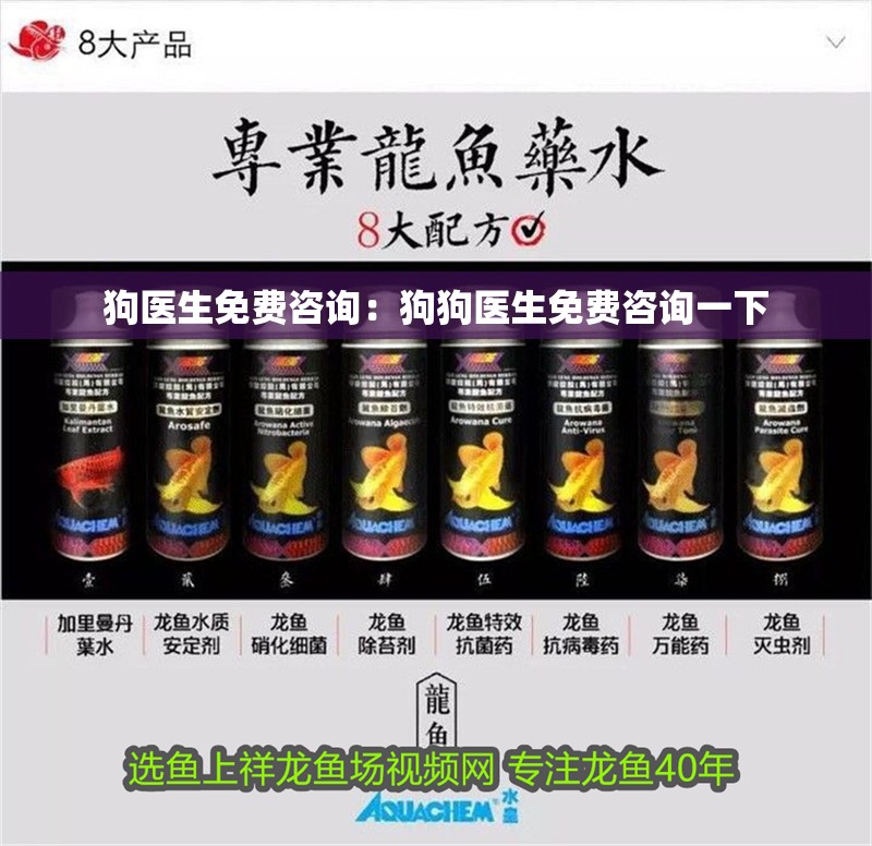 狗醫生免費咨詢：狗狗醫生免費咨詢一下