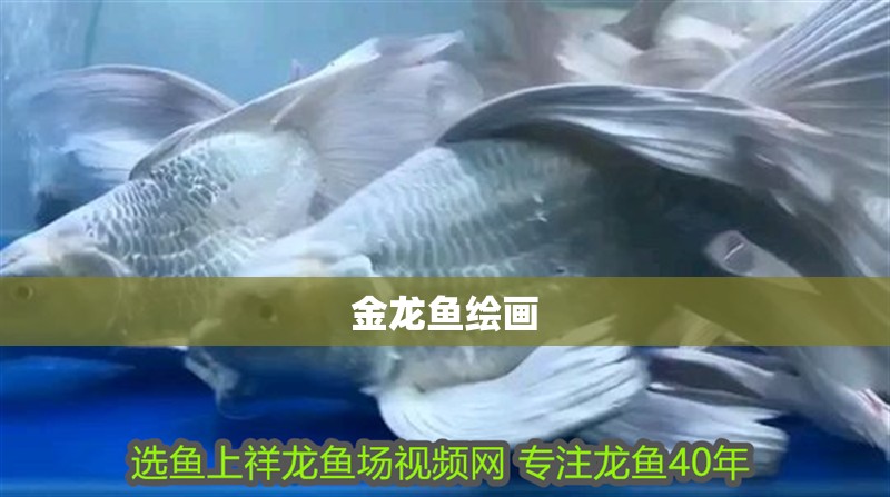 金龍魚繪畫
