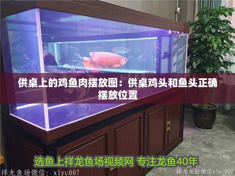 供桌上的雞魚肉擺放圖：供桌雞頭和魚頭正確擺放位置