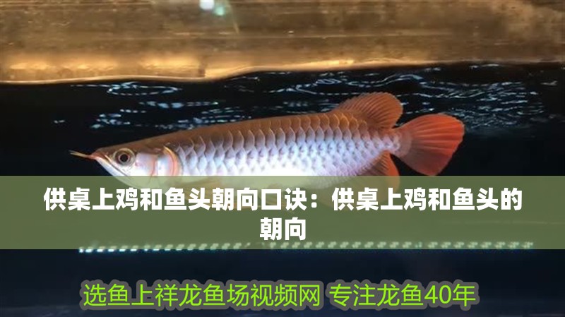 供桌上雞和魚頭朝向口訣：供桌上雞和魚頭的朝向