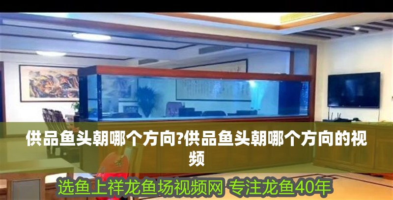 供品魚頭朝哪個(gè)方向?供品魚頭朝哪個(gè)方向的視頻 供品魚頭朝哪個(gè)方向?供品魚頭朝哪個(gè)方向的視頻 龍魚百科 第2張