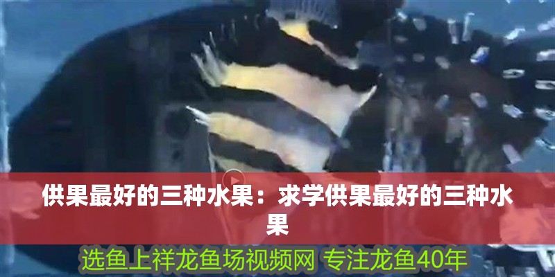供果最好的三種水果：求學供果最好的三種水果