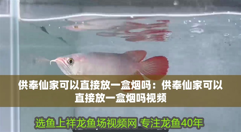 供奉仙家可以直接放一盒煙嗎：供奉仙家可以直接放一盒煙嗎視頻