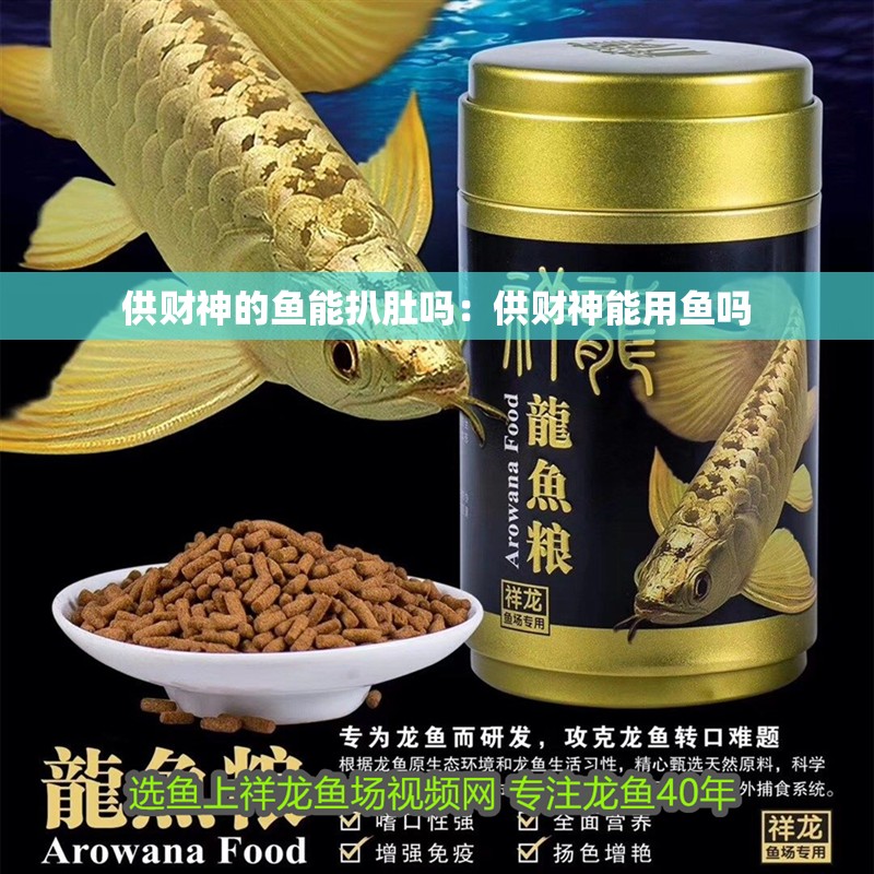 供財神的魚能扒肚嗎：供財神能用魚嗎