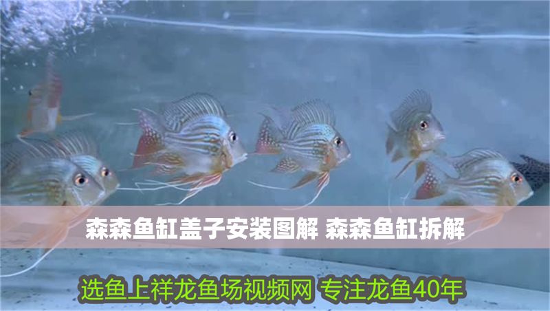 森森魚缸蓋子安裝圖解 森森魚缸拆解