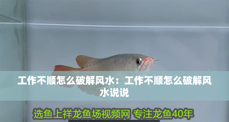 工作不順怎么破解風水：工作不順怎么破解風水說說