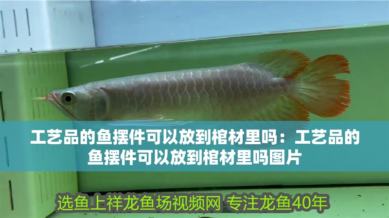 工藝品的魚擺件可以放到棺材里嗎：工藝品的魚擺件可以放到棺材里嗎圖片 工藝品的魚擺件可以放到棺材里嗎：工藝品的魚擺件可以放到棺材里嗎圖片 龍魚百科 第3張