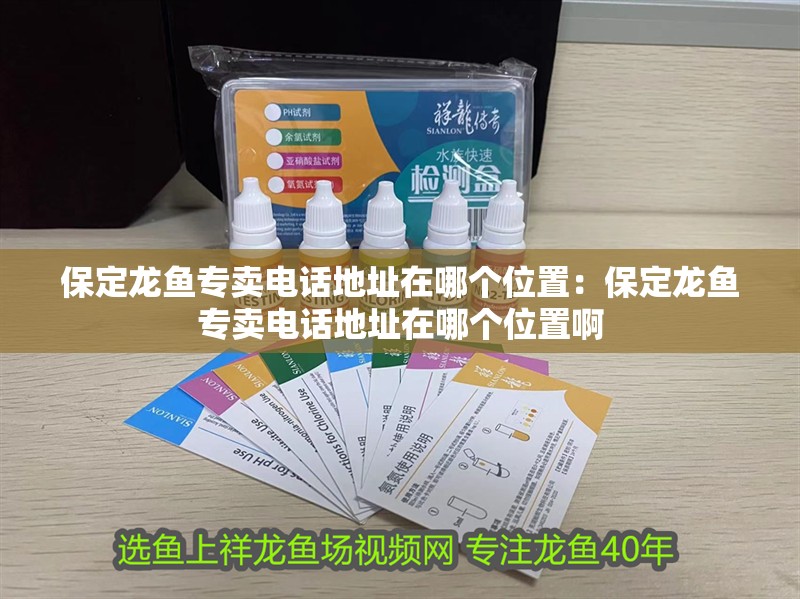 保定龍魚專賣電話地址在哪個位置：保定龍魚專賣電話地址在哪個位置啊 保定龍魚專賣電話地址在哪個位置：保定龍魚專賣電話地址在哪個位置啊 水族問答