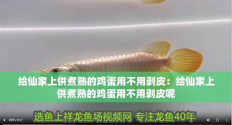 給仙家上供煮熟的雞蛋用不用剝皮：給仙家上供煮熟的雞蛋用不用剝皮呢