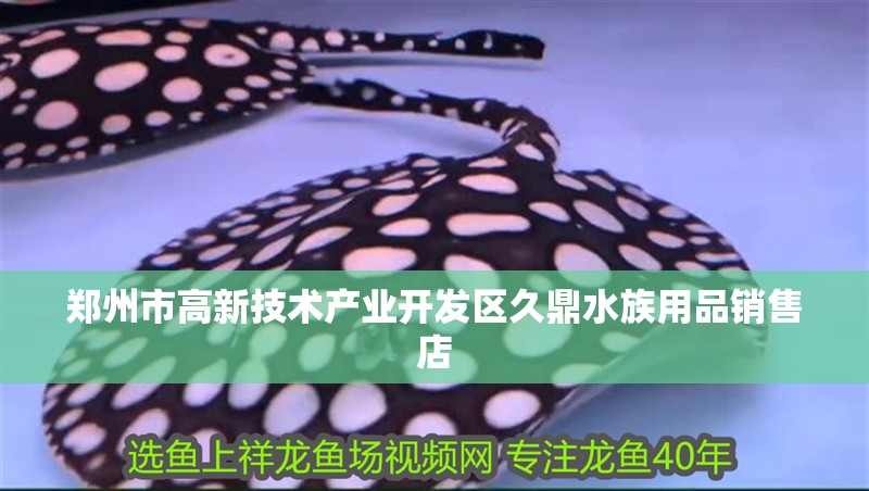 鄭州市高新技術(shù)產(chǎn)業(yè)開發(fā)區(qū)久鼎水族用品銷售店 鄭州市高新技術(shù)產(chǎn)業(yè)開發(fā)區(qū)久鼎水族用品銷售店 全國水族館企業(yè)名錄 第1張