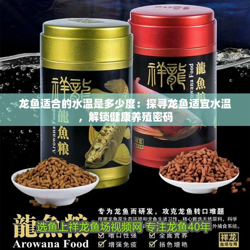 龍魚適合的水溫是多少度：探尋龍魚適宜水溫，解鎖健康養殖密碼