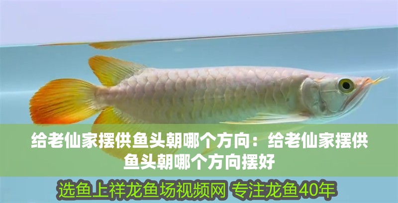 給老仙家擺供魚頭朝哪個方向：給老仙家擺供魚頭朝哪個方向擺好