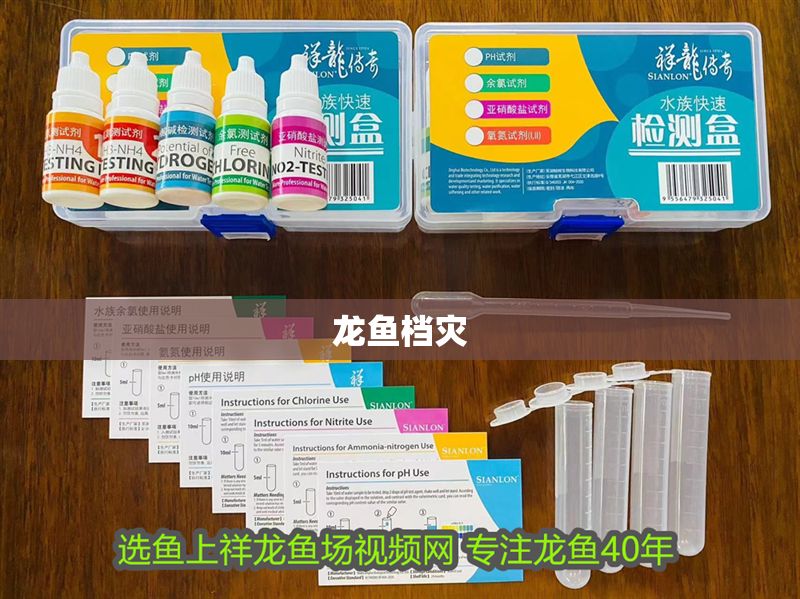 龍魚檔災(zāi) 龍魚檔災(zāi) 龍魚百科 第2張