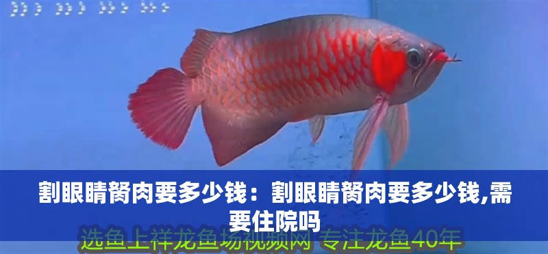 割眼睛胬肉要多少錢：割眼睛胬肉要多少錢,需要住院?jiǎn)? title=