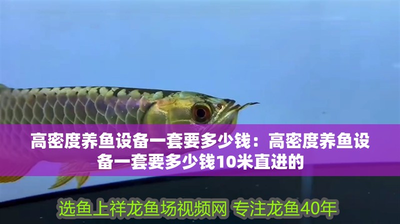 高密度養魚設備一套要多少錢：高密度養魚設備一套要多少錢10米直進的 高密度養魚設備一套要多少錢：高密度養魚設備一套要多少錢10米直進的 龍魚百科 第1張
