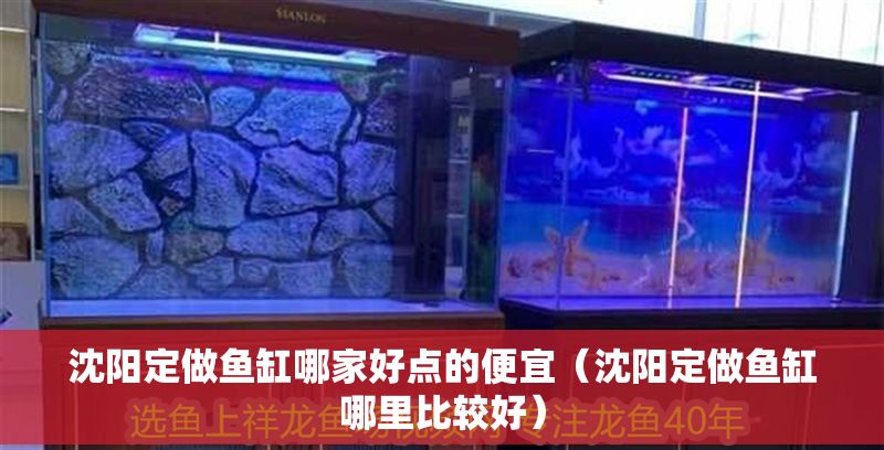 沈陽定做魚缸哪家好點的便宜（沈陽定做魚缸哪里比較好）