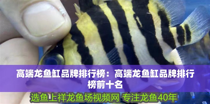 高端龍魚缸品牌排行榜：高端龍魚缸品牌排行榜前十名 高端龍魚缸品牌排行榜：高端龍魚缸品牌排行榜前十名 龍魚百科 第2張