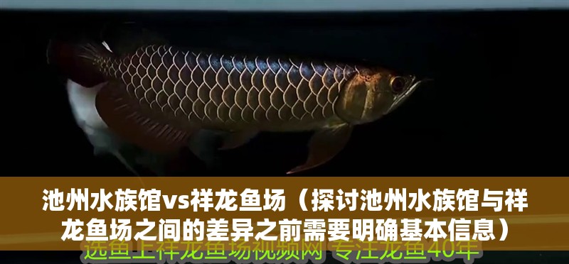 <strong><mark>池州</mark></strong>水族館vs祥龍魚場（探討<strong><mark>池州</mark></strong>水族館與祥龍魚場之間的差異之前需要明確基本信息）