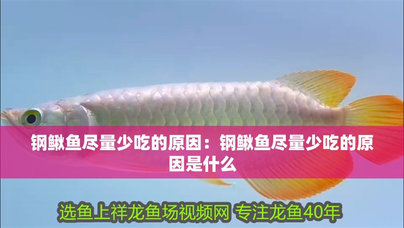 鋼鰍魚盡量少吃的原因：鋼鰍魚盡量少吃的原因是什么 鋼鰍魚盡量少吃的原因：鋼鰍魚盡量少吃的原因是什么 龍魚百科 第2張