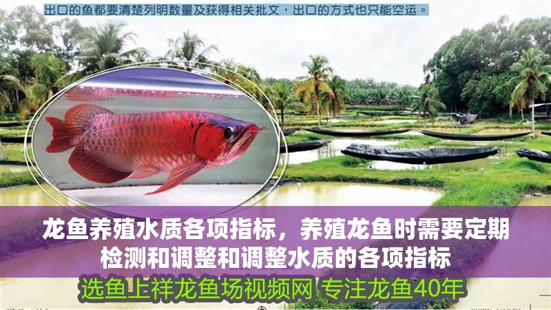 龍魚養(yǎng)殖水質(zhì)各項(xiàng)指標(biāo)，養(yǎng)殖龍魚時(shí)需要定期檢測(cè)和調(diào)整和調(diào)整水質(zhì)的各項(xiàng)指標(biāo)