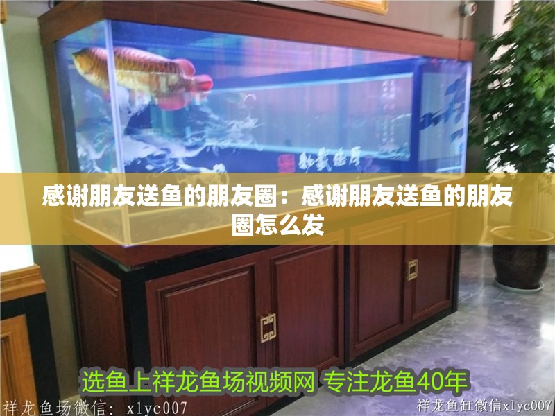 感謝朋友送魚的朋友圈：感謝朋友送魚的朋友圈怎么發
