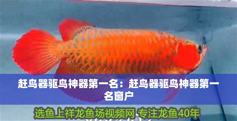 趕鳥器驅鳥神器第一名：趕鳥器驅鳥神器第一名窗戶