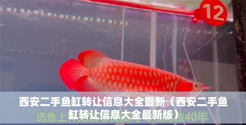 西安二手魚缸轉讓信息大全最新（西安二手魚缸轉讓信息大全最新版） 西安二手魚缸轉讓信息大全最新（西安二手魚缸轉讓信息大全最新版） 龍魚百科 第1張
