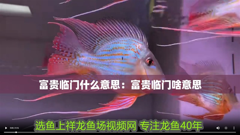 富貴臨門什么意思:富貴臨門啥意思 龍魚百科 第2張 富貴臨門什么意思:富貴臨門啥意思 富貴臨門什么意思:富貴臨門啥意思 龍魚百科 第2張