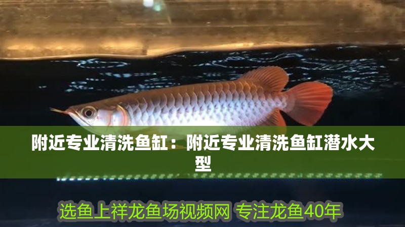 附近專業(yè)清洗魚缸：附近專業(yè)清洗魚缸潛水大型 附近專業(yè)清洗魚缸：附近專業(yè)清洗魚缸潛水大型 龍魚百科 第1張