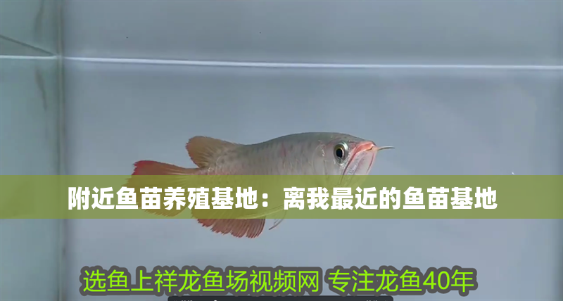 附近魚苗養殖基地：離我最近的魚苗基地