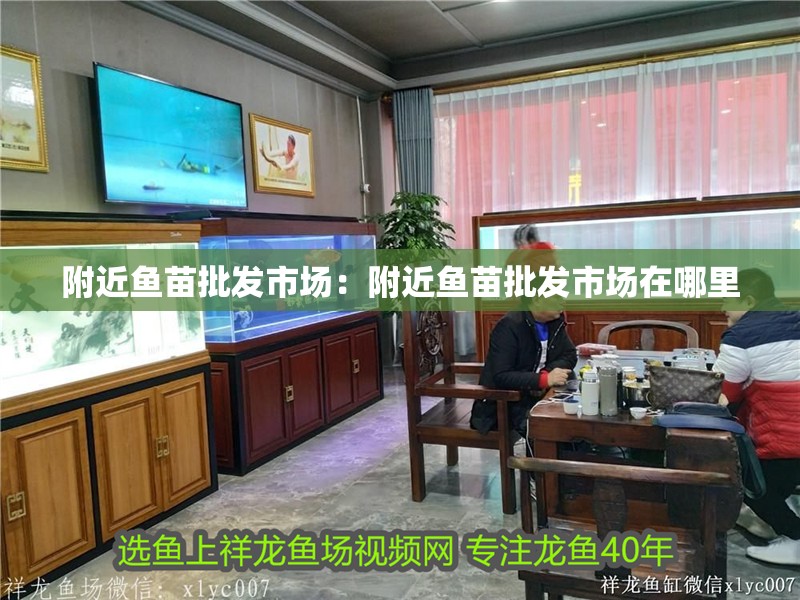 附近魚苗批發市場：附近魚苗批發市場在哪里