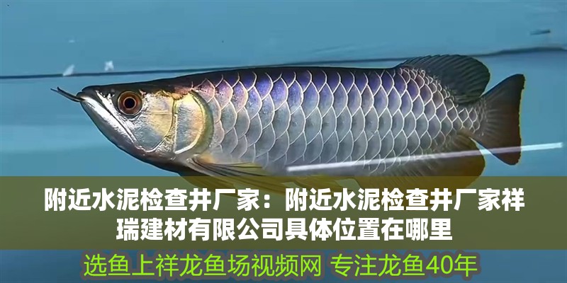 附近水泥檢查井廠家：附近水泥檢查井廠家祥瑞建材有限公司具體位置在哪里 附近水泥檢查井廠家：附近水泥檢查井廠家祥瑞建材有限公司具體位置在哪里 龍魚(yú)百科 第2張
