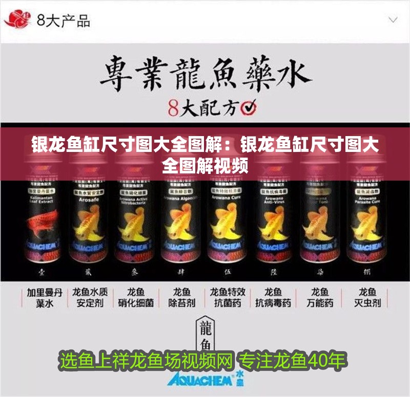 銀龍魚缸尺寸圖大全圖解：銀龍魚缸尺寸圖大全圖解視頻