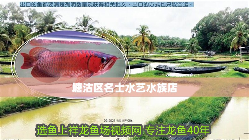 塘沽區名士水藝水族店