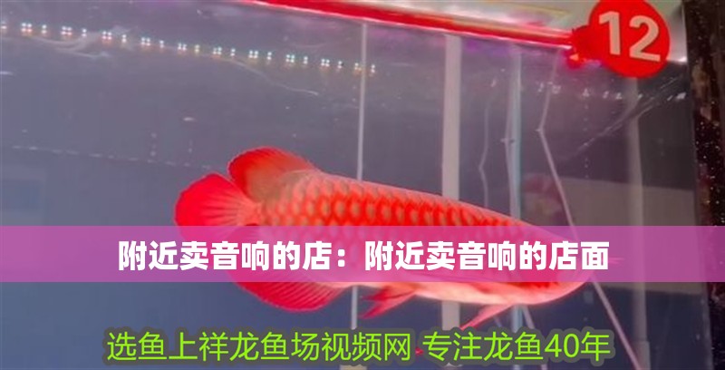附近賣音響的店：附近賣音響的店面