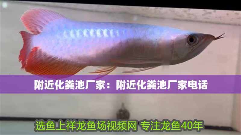 附近化糞池廠家:附近化糞池廠家電話 龍魚百科 第2張 附近化糞池廠家:附近化糞池廠家電話 附近化糞池廠家:附近化糞池廠家電話 龍魚百科 第2張