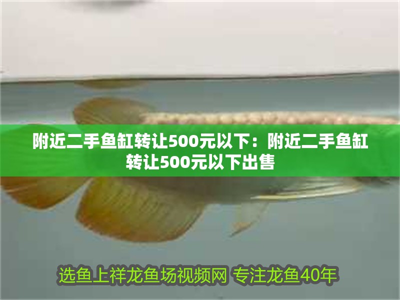 附近二手魚(yú)缸轉(zhuǎn)讓500元以下：附近二手魚(yú)缸轉(zhuǎn)讓500元以下出售